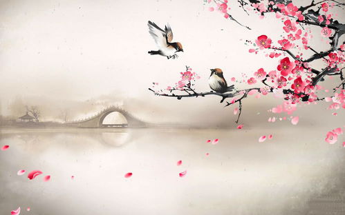 蘇東坡最有趣的一首詩(shī),不懂的別解釋,看完一笑而過(guò)